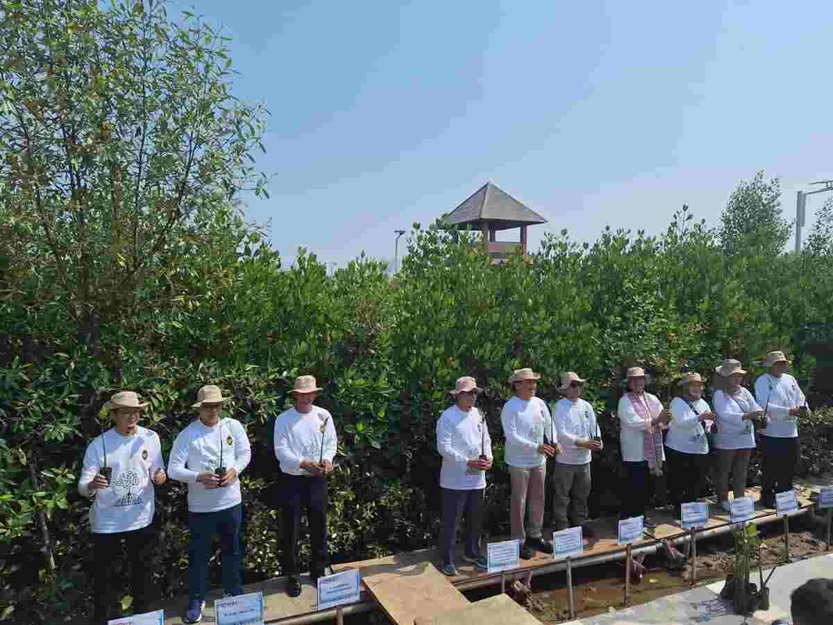 Sumbang 15.000 Bibit Mangrove, Bukit Asam Ikut Aksi Ini