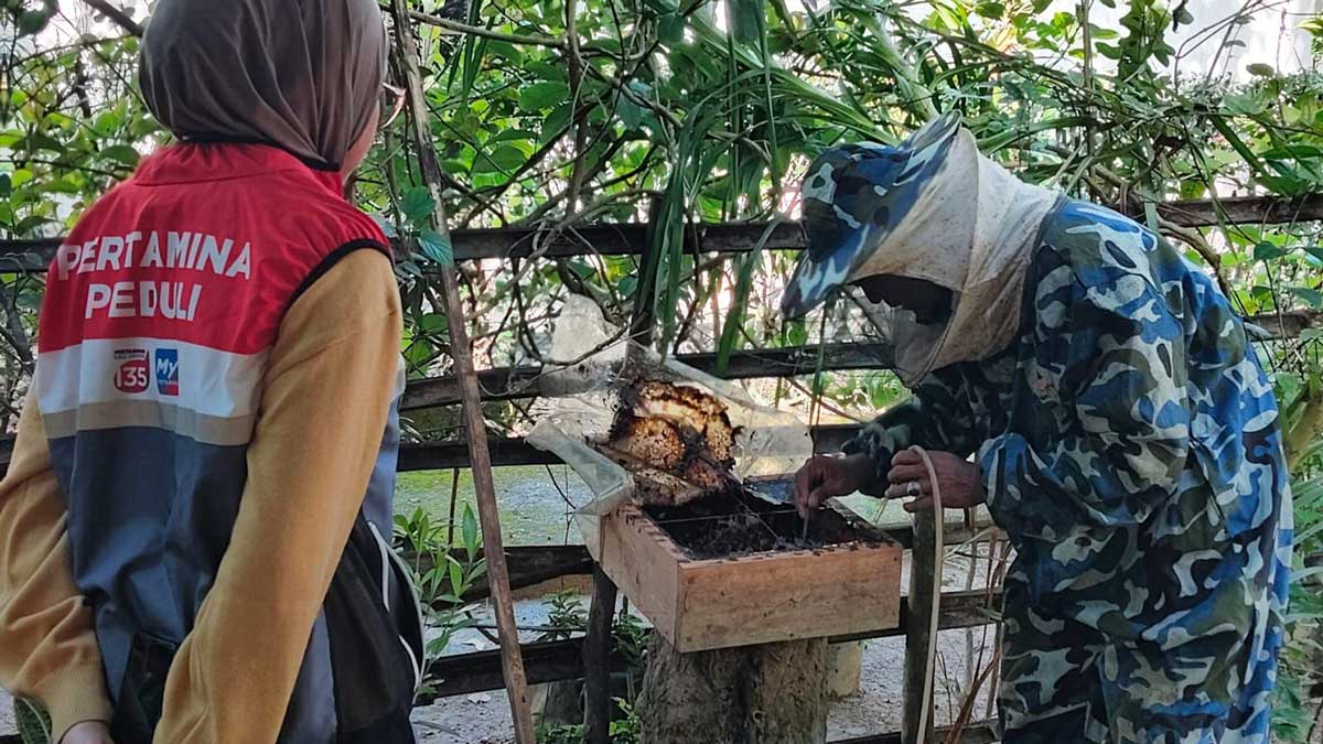 Pertamina Patra Niaga Regional Sumbagsel Dorong Kemandirian Desa Lewat Budidaya Lebah Trigona