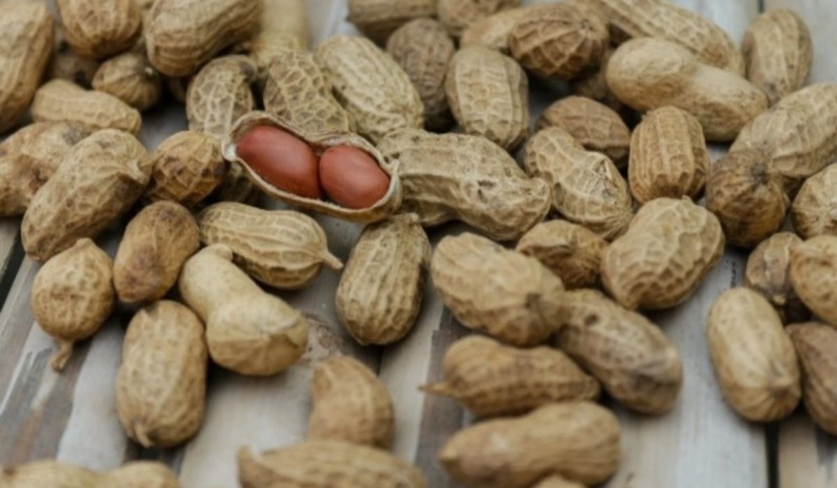 Makan Kacang Bisa Bikin Jerawatan, Mitos atau Fakta Nih