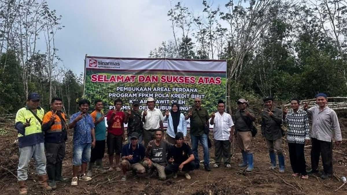 Gak Perlu Modal Awal! Pemdes Lubuk Lungkang dan PT SMS Garap 125 Hektar Kebun Sawit Warga
