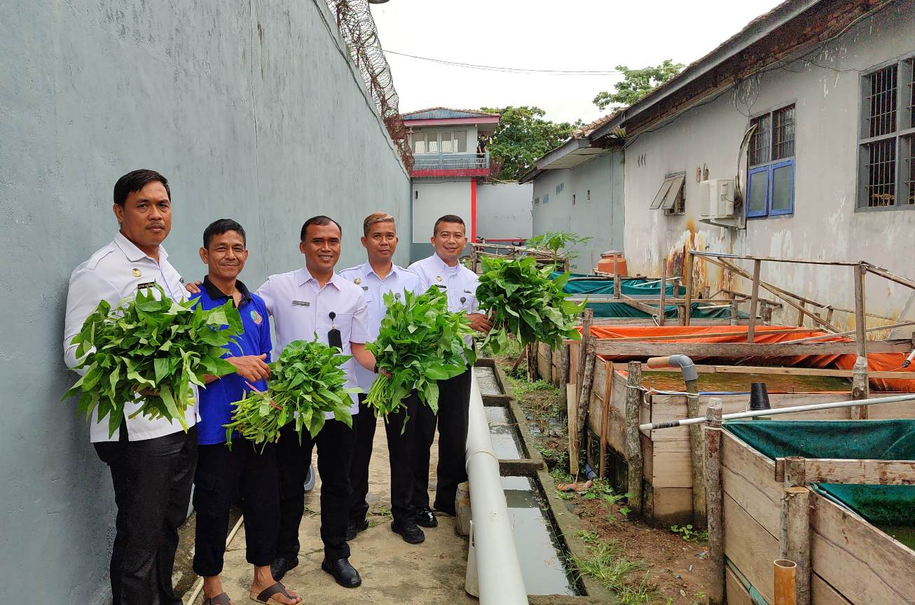 Panen Kangkung Warnai Program Pembinaan di Lapas Sekayu