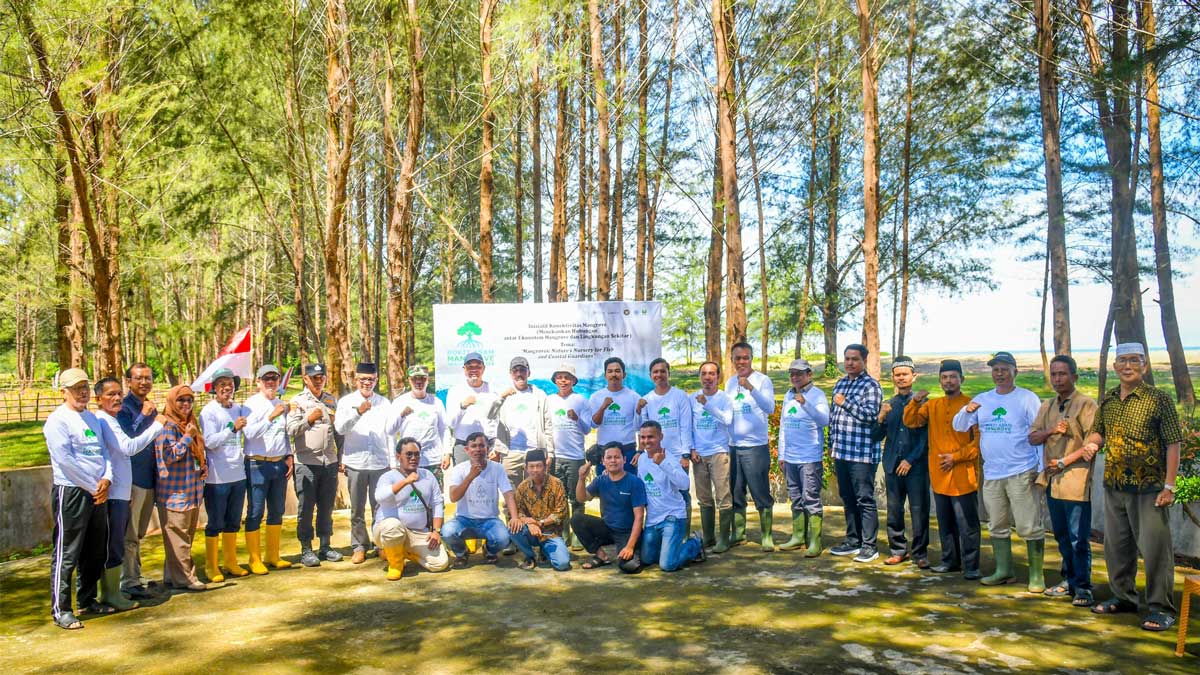 Bukan Sekadar Menanam, Inisiatif Mangrove PTBA Hadirkan Simpul Ekosistem Baru