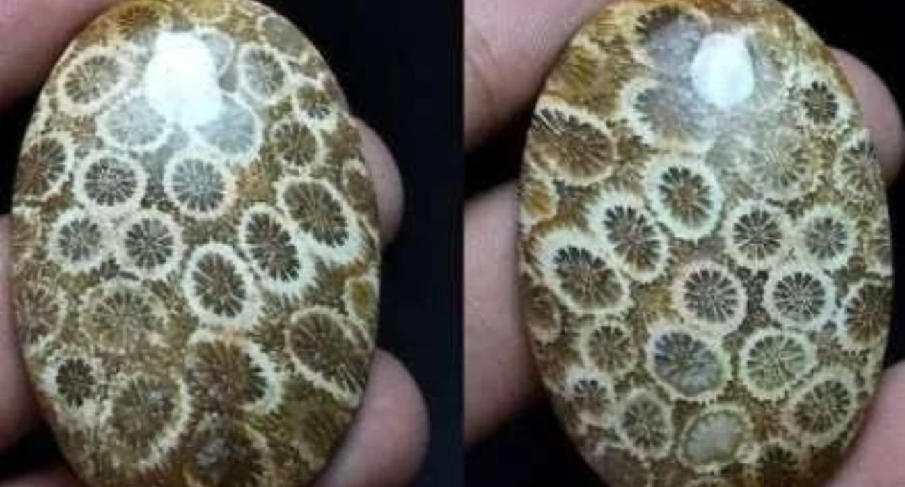 Memiliki Motif Bunga-Bunga Kecil, Batu Akik Jenis Ini Disebut Batu Akik Termahal di Indonesia, Benarkah?