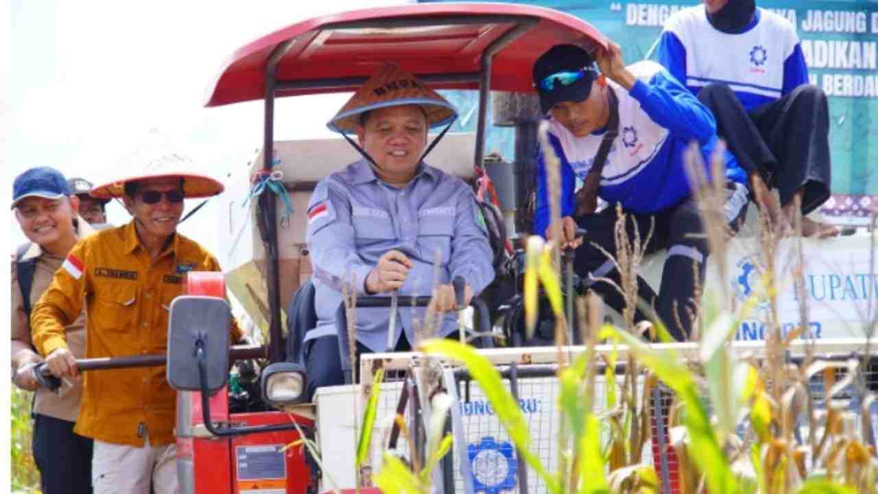 Panen Raya Jagung di Kecamatan Lalan, Wujudkan Swasembada Pangan Muba, Ini Kata Pj Bupati Sandi