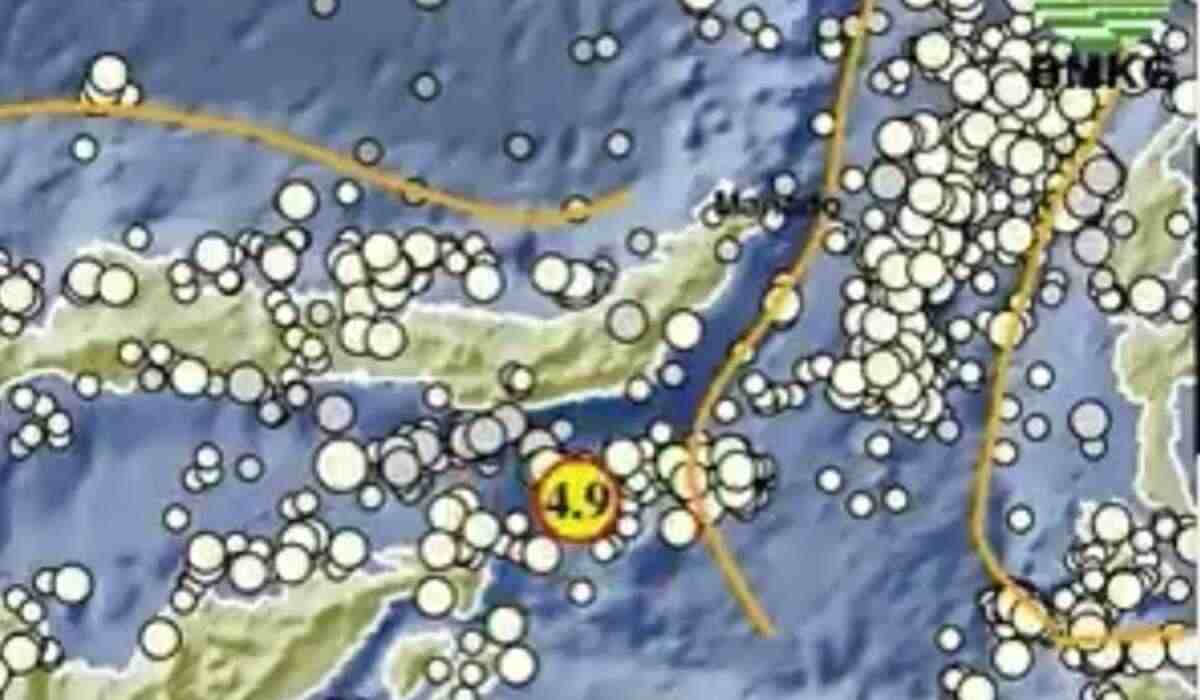 Pagi Ini Gempa Guncang Sumbawa NTB dan Luwu Timur, Segini Kekuatan Magnitudonya