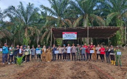 Dukung Program Ketahanan Pangan, Polsek Lais Sinergi dengan Forkopimcam dan Perusahaan Tanam Jagung Bersama