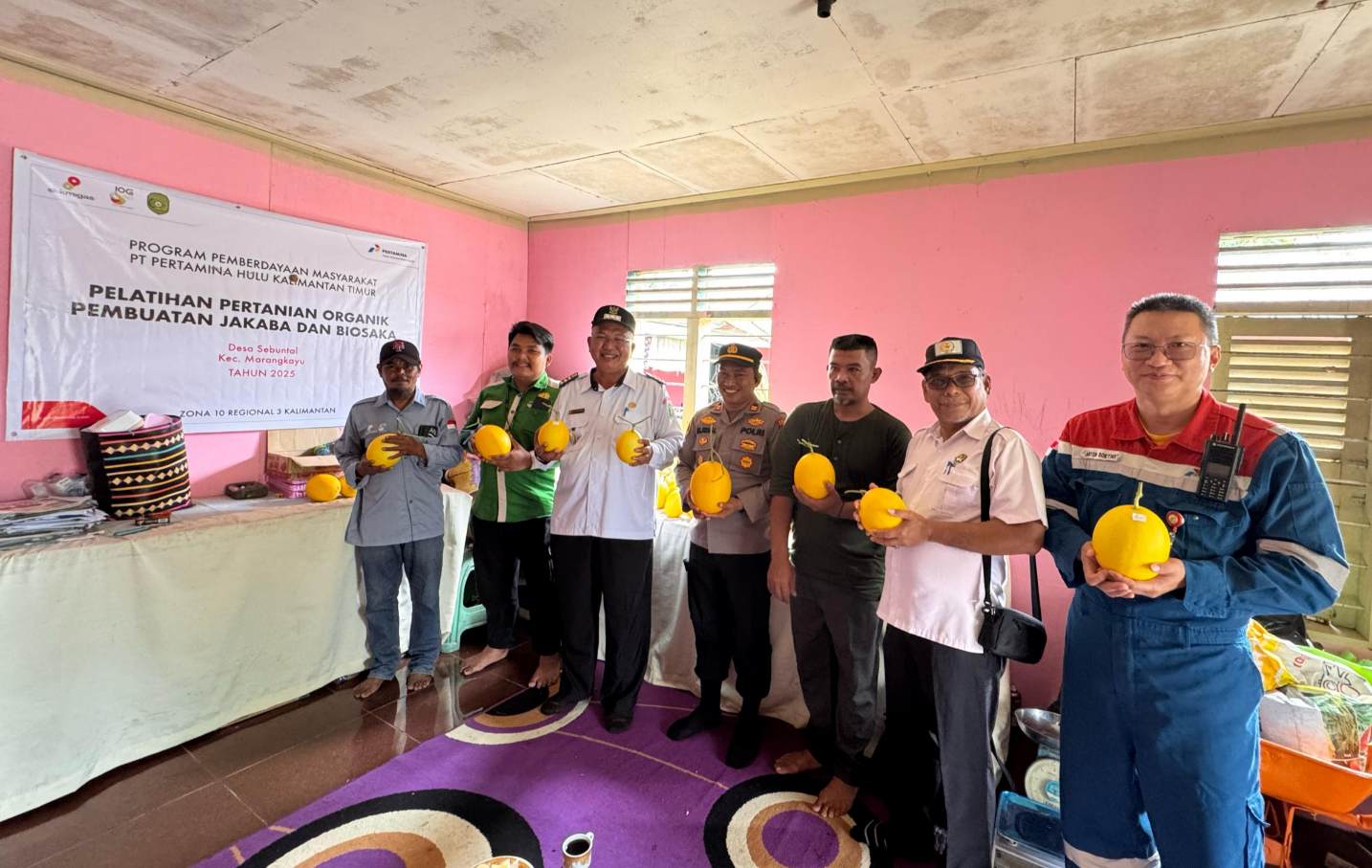 Pertamina Hulu Kalimantan Timur Panen Raya Melon Golden Semi Organik