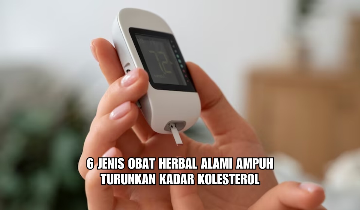 6 Jenis Obat Herbal Alami Turunkan Kadar Kolesterol, Mudah Ditemukan dan Ampuh Usir Kolesterol Jahat!