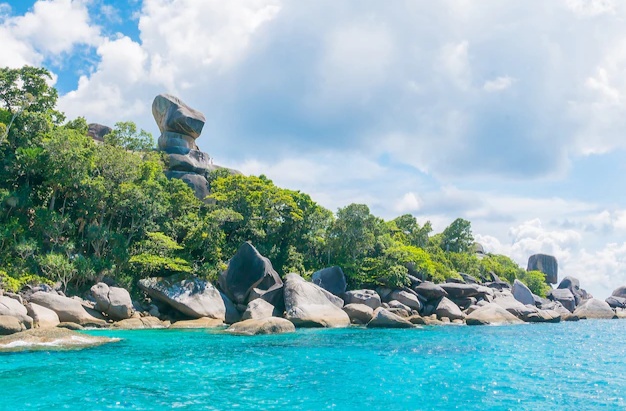 6 Destinasi Wisata Terbaik di Wakatobi, Nikmati Suguhan Wisata Bahari yang Manjakan Diri