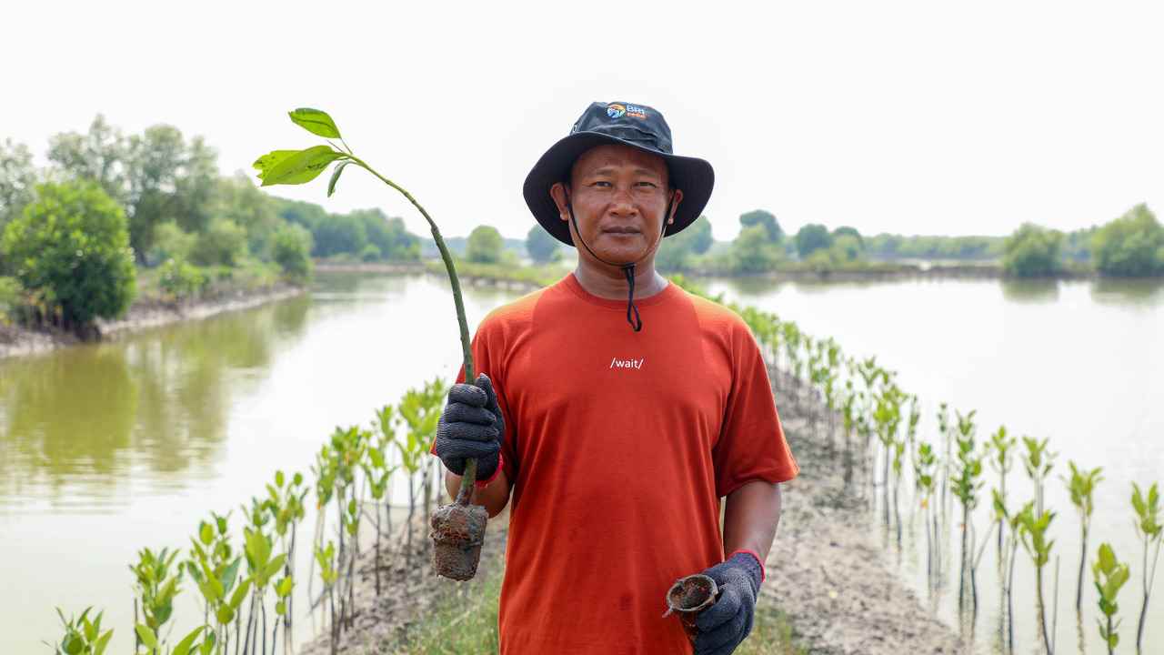 Peringati Hari Mangrove Sedunia, BRI Pertegas Komitmen Selamatkan Lingkungan Lewat Perbaikan Ekosistem Pesisir
