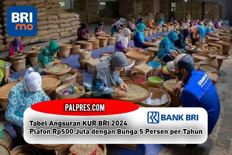 Sebelum Ajukan Pinjaman, Cek Tabel Angsuran KUR BRI 2024, Plafon Rp500 ...