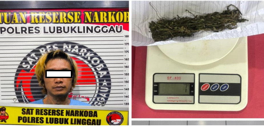 Pria Asal Jambi Gagal Edarkan Daun Setan di Lubuk Linggau