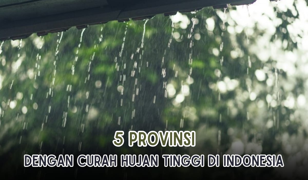 Peringkat Satu Bukan Bogor! Ini 5 Provinsi di Indonesia Dengan Curah Hujan Tertinggi