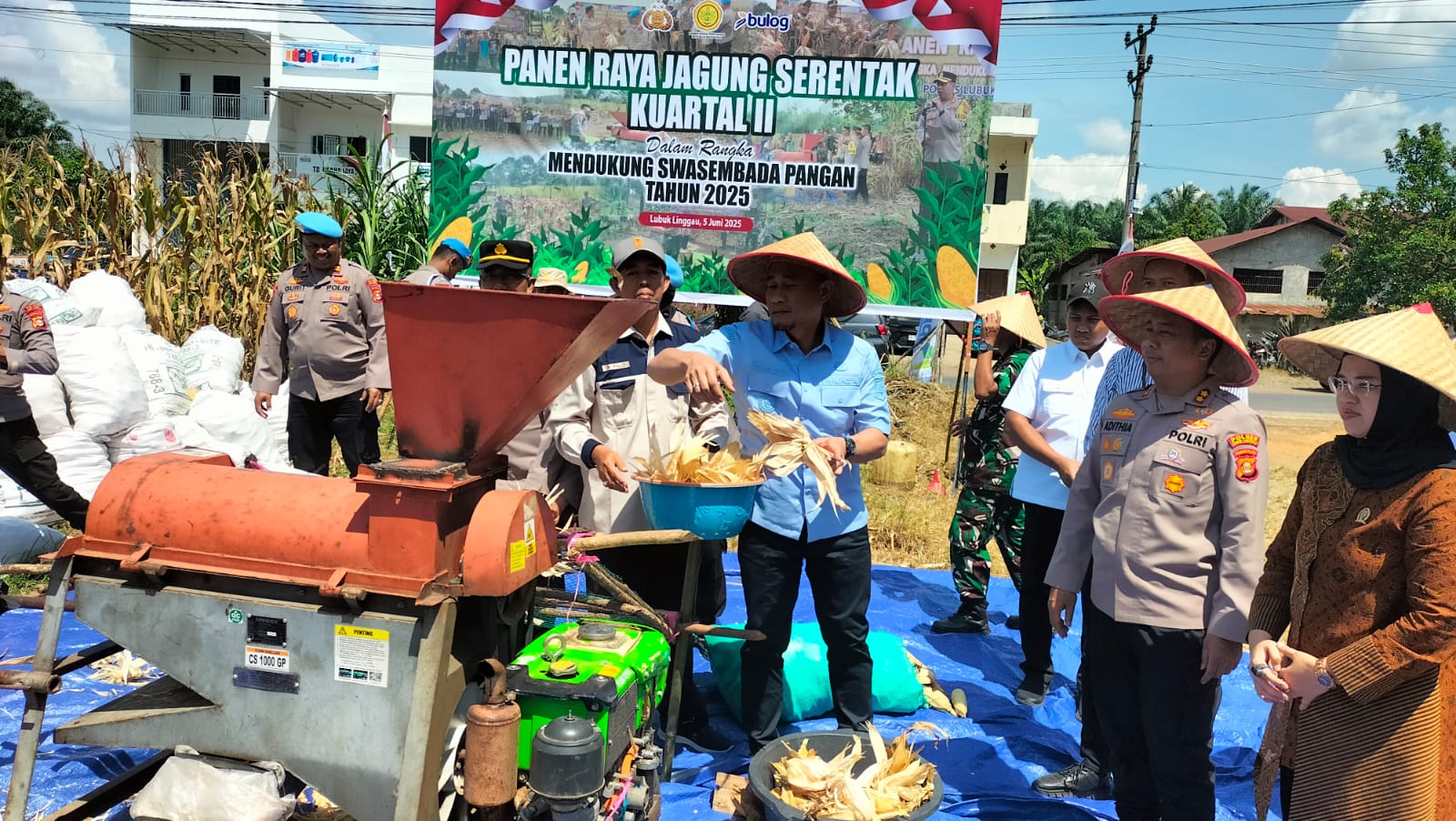 Panen Raya Jagung Kuartal II Dukung Swasembada Pangan 2025