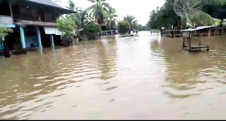 Sawah di Rawas Ilir Gagal Panen, Penyebabnya Karena Ini