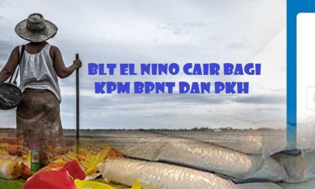 Info Terkini! BLT Rp200.000 Segera Cair Bagi KPM BPNT dan PKH di 2 Wilayah Ini