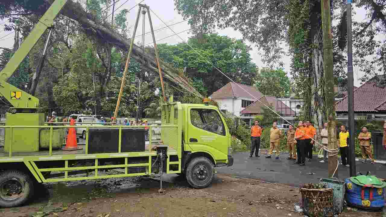 Waspada Cuaca Ekstrem, Evakuasi Pohon Tumbang di Muba