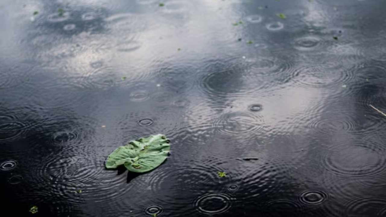 Cuaca Sumatera Selatan Hari Ini: Mayoritas Daerah Diprediksi Hujan, Cek Wilayah Anda!