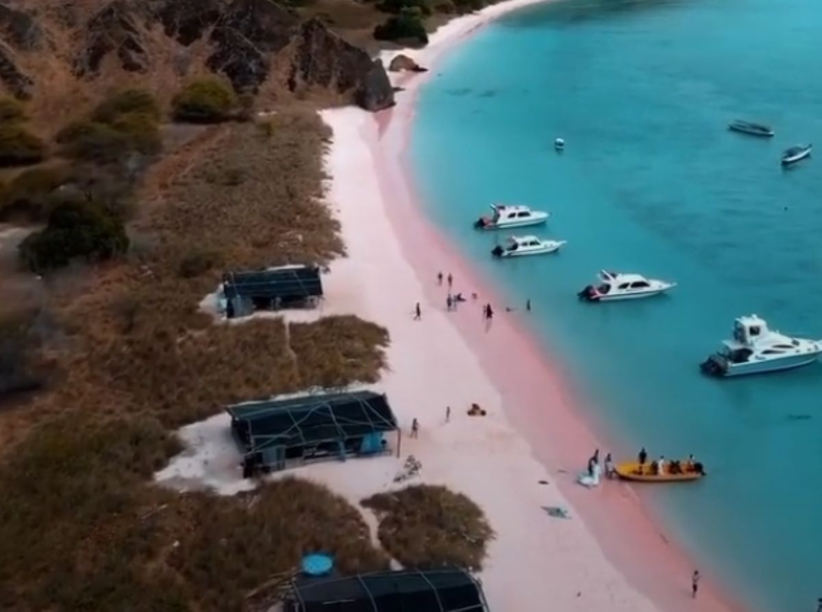 Pasirnya Berwarna Pink, Inilah Pantai Unik di Sumatera Utara, Liburan Bersama Keluarga Makin Seru