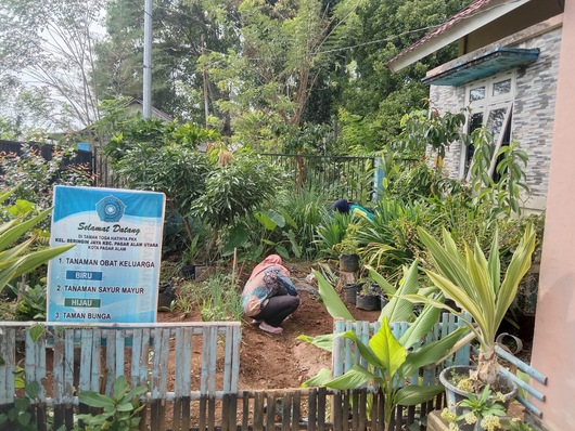 Manfaatkan Pekarangan, Jadikan Apotik Hidup 