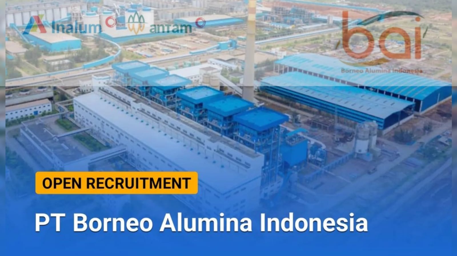 Lowongan Kerja BUMN PT Borneo Alumina Indonesia Sebagai Internship IT (Information Technology) Ini Syaratnya