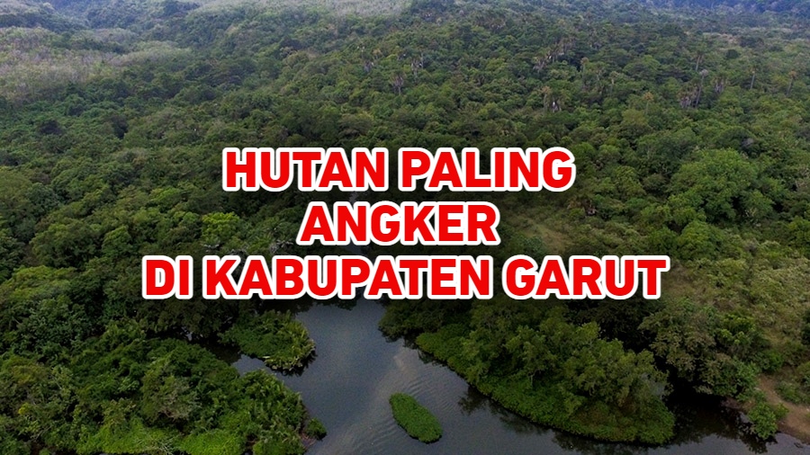 Hutan Paling Angker di Kabupaten Garut, Tapi Menyimpan Keindahan Alam yang Luar Biasa, Bisa Tebak?