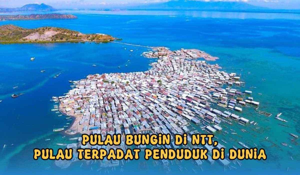 Bukan Pulau Jawa! Inilah Pulau di Indonesia yang Jumlah Penduduknya Paling Padat