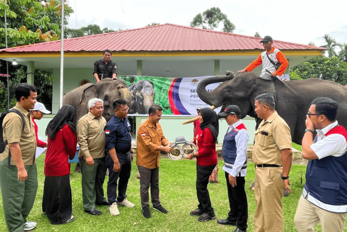 Pantau Pergerakan Gajah Sumatera, Hutama Karya Pasang GPS Collar di Sekitar Tol Pekanbaru-Dumai