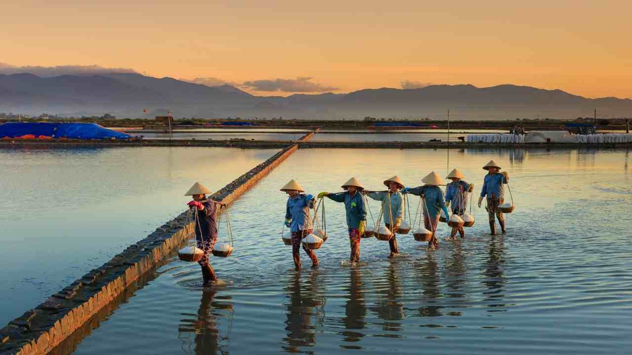 BRI Salurkan KUR Rp69,8 Triliun ke 8,3 Juta Debitur UMKM, Dorong Sektor Produksi Bergeliat