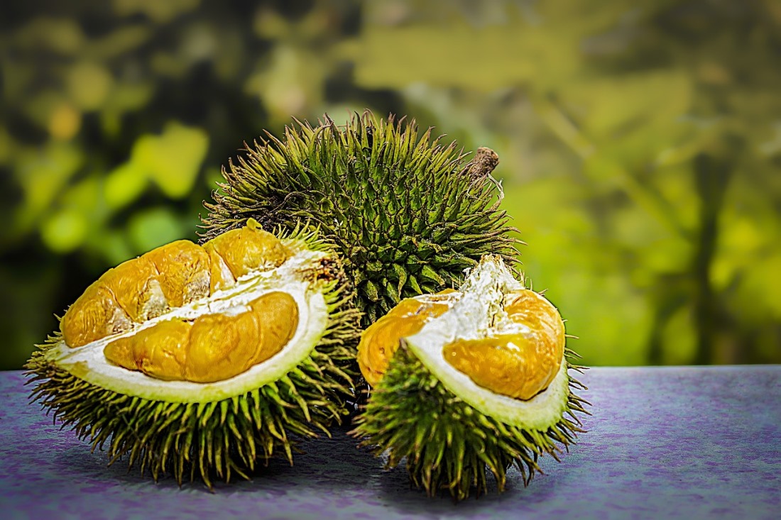 Inilah 4 Kecamatan Penghasil Durian Terbanyak di Bogor, Bisa Tebak Juaranya?