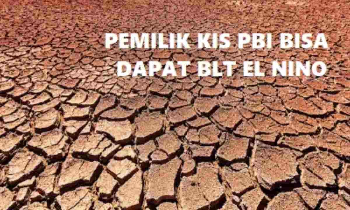Alhamdulilah, Pemilik BPJS KIS PBI Bisa Dapat BLT El Nino 2024, Asal Penuhi 5 Ketentuan Ini