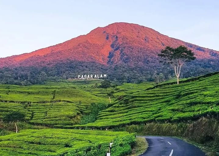 7 Tempat Wisata Unik Tak Jauh Dari Pusat Kota Palembang, Hadirkan Suasana yang Menyegarkan Mata!