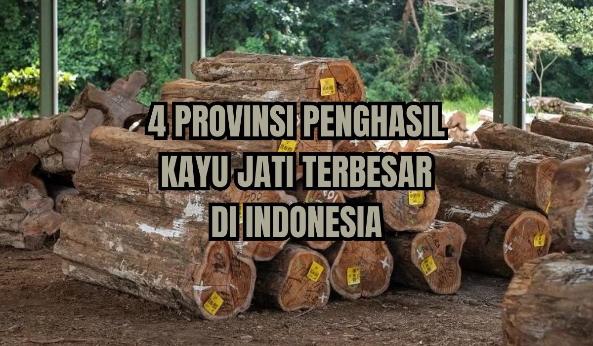 4 Provinsi Penghasil Kayu Jati Terbesar di Indonesia, Ada dari Sumatera?