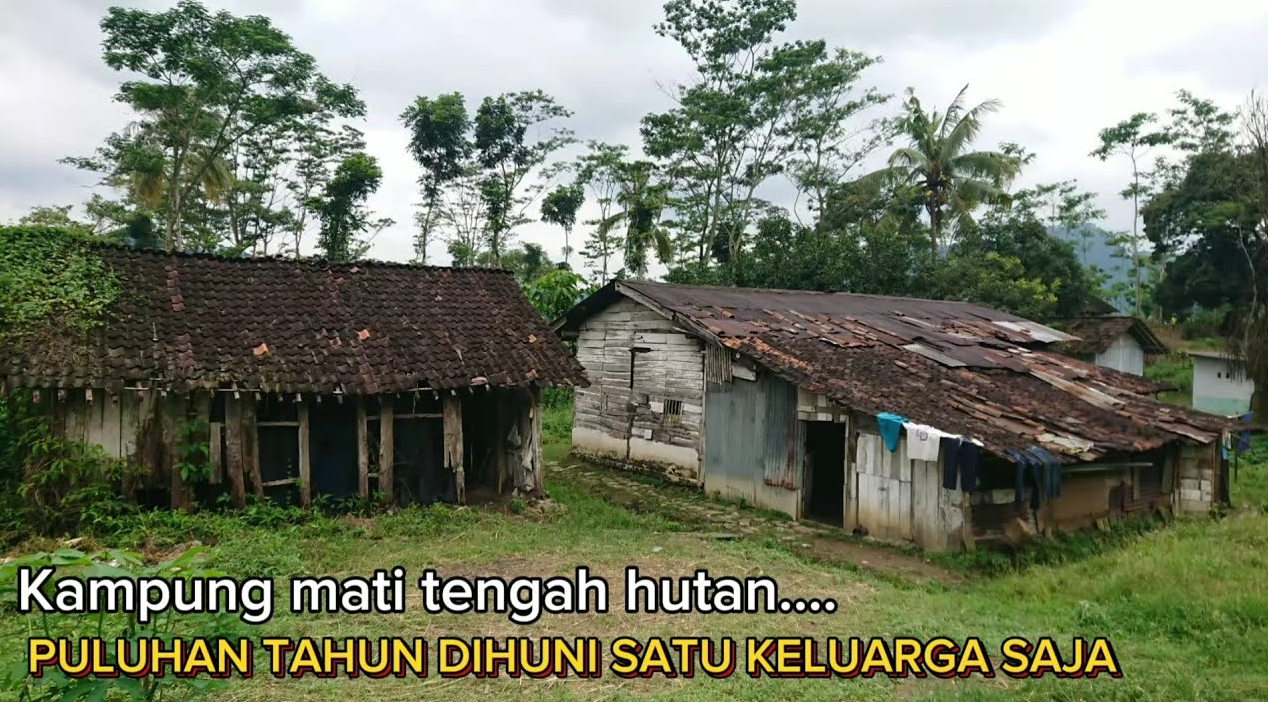 Kampung Tersepi di Tengah Hutan Belantara Kabupaten Temanggung, Hanya Dihuni 1 KK, Tak Ada Tetangga