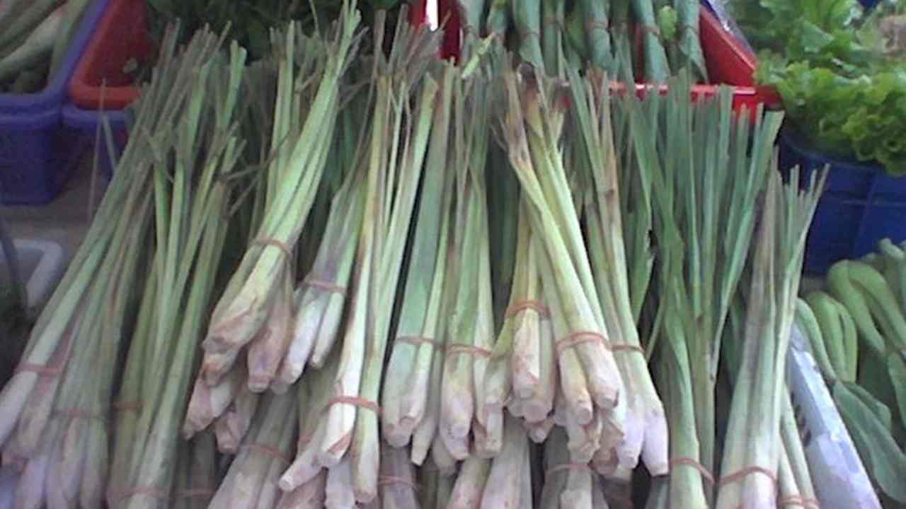 Dari Dapur ke Obat Alami, Ini Khasiat Serai yang Tak Banyak Disadari