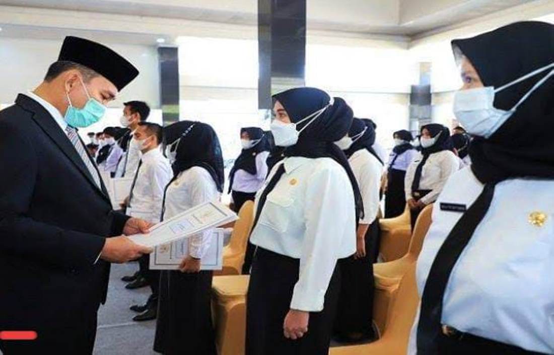 ISTIMEWA! Inilah 8 Hak yang Diterima PPPK Baru