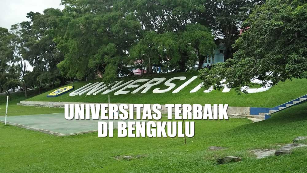 4 Universitas Terbaik di Bengkulu, Negeri dan Swasta yang Masuk Rangking Dunia, Ada UNIB Peringkat 55 Nasional