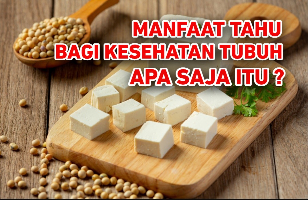 Manfaat Tahu Bagi Tubuh Sangat Luar Biasa, Apa Saja Itu? Simak Penjelasannya