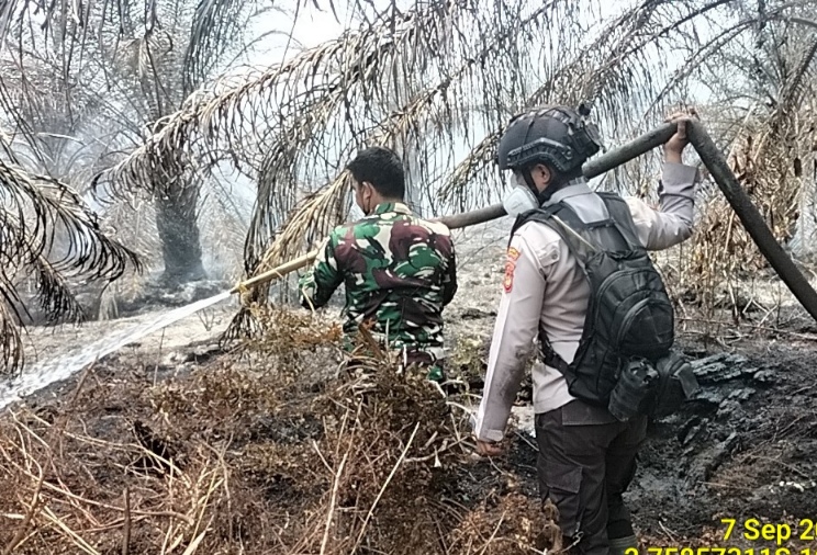 Polsek Sanga Desa Bersama Forkompimcam Kompak Padamkan Titik Api Karhutlah