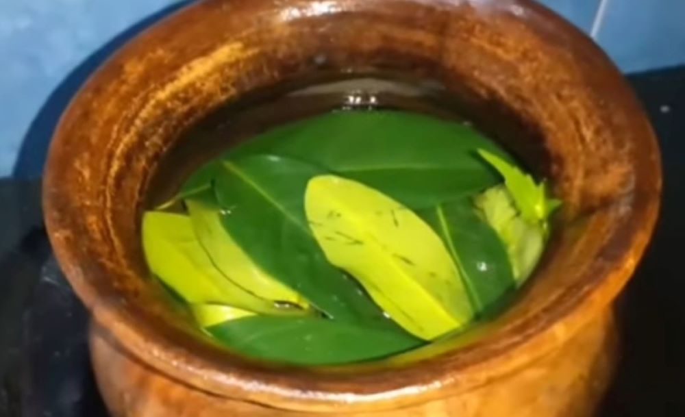 Berikut 7 Jenis Tanaman Herbal yang Teruji Untuk Pembesaran Otot Alami