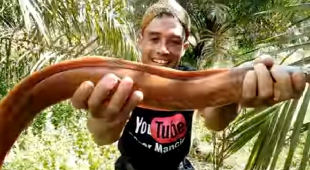 Berikut Ini Cara Jitu Mancing Ikan Lele Lembat yang Harus Kamu Ketahui