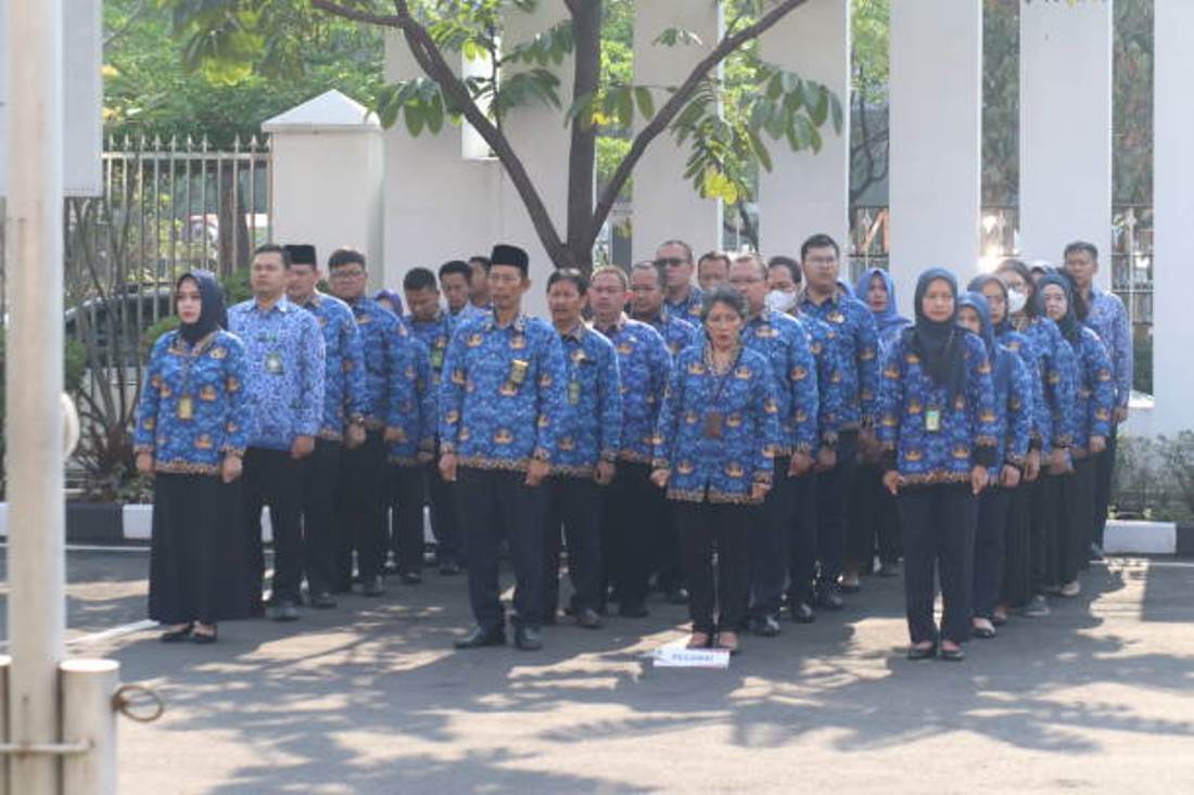 Pemerintah Beri Bocoran CPNS 2026, Sektor Ini Jadi Prioritas