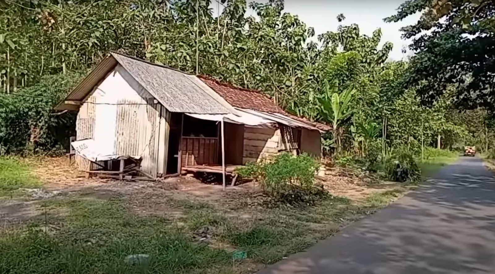 Warung Terpencil di Hutan Kabupaten Tuban, Jadi Incaran Pembeli, Ternyata Jualannya? 