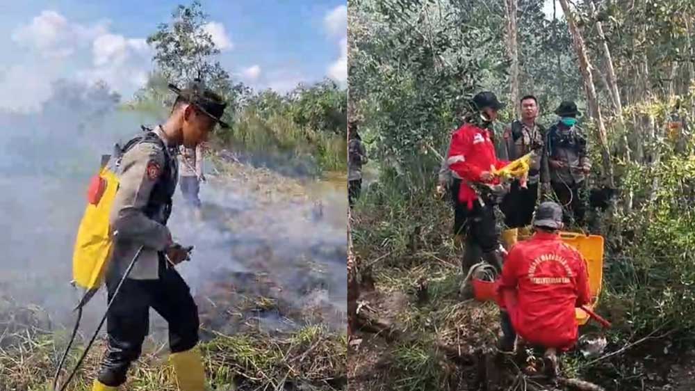 Dibantu Water Bombing, Tim Gabungan Penanggulangan Karhutla Berjibaku Padamkan Api di Sumsel