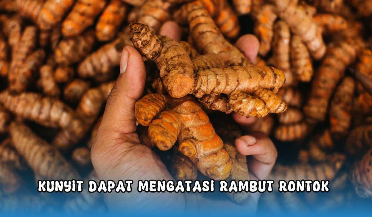 Selain Rempah Bumbu Dapur, Ternyata Kunyit Juga Bisa Atasi Rambut Rontok Lhoo, Yuk Cobain!