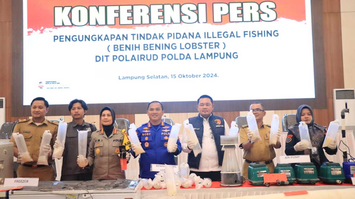 Polda Lampung Berhasil Ungkap Penyelundupan Benih Lobster, KKP: Langkah Cepat Ditpolairud Acungi Jempol