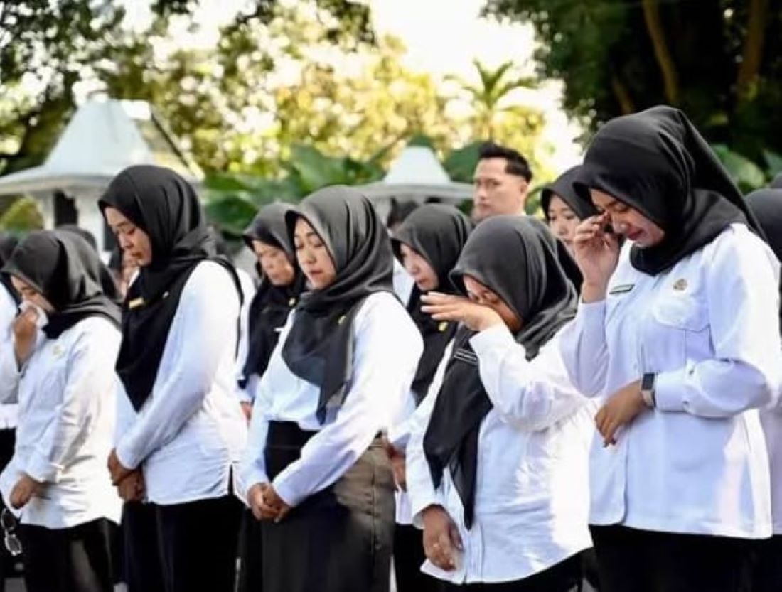 DATA AMBURADUL! DPR Desak KemenPAN RB dan BKN Segera Lakukan Sinkronisasi Data PPPK