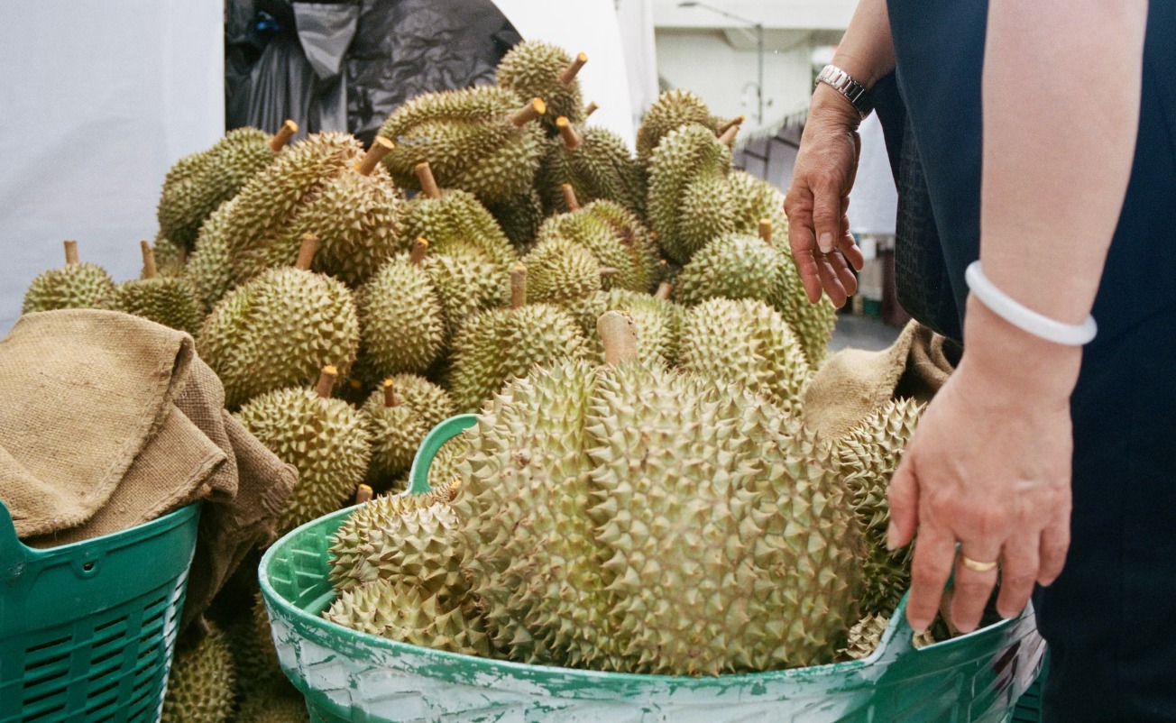 4 Daerah Penghasil Buah Durian Terbesar di Sulawesi Selatan: Bukan Sinjai Juaranya, Ternyata? 