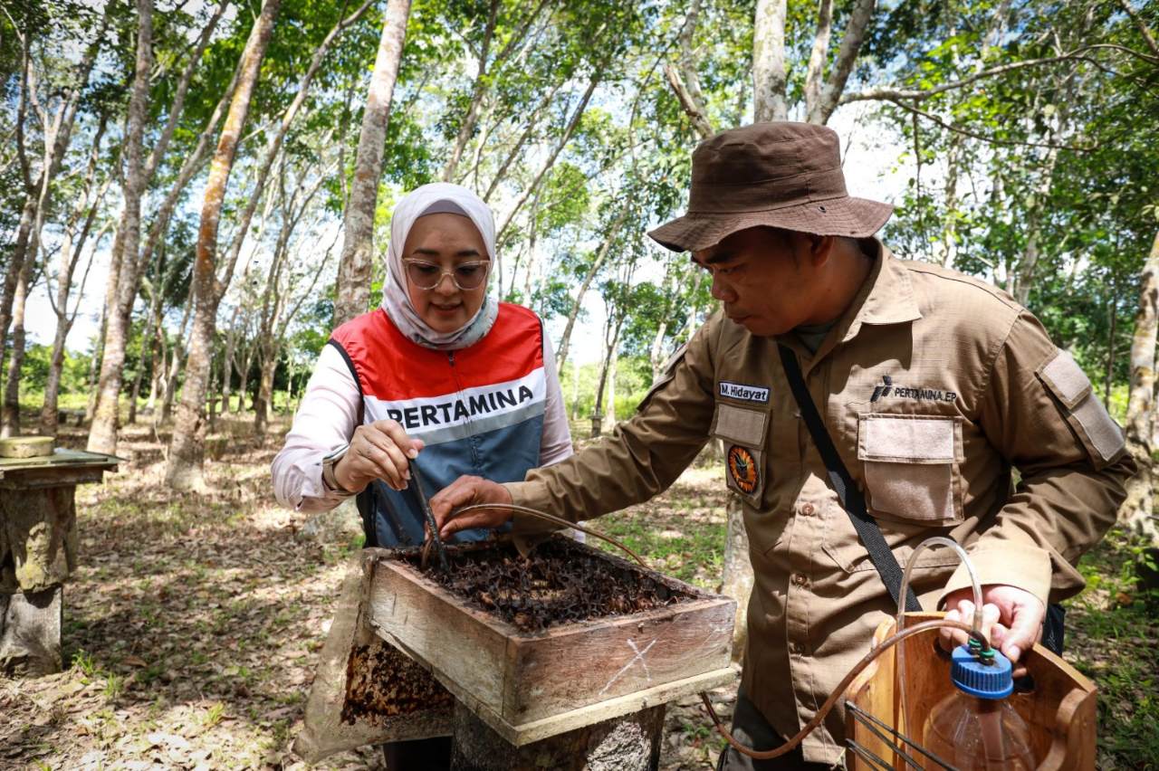 Berawal Ide Sederhana, PEP Sangatta Field Benahi Sistem Budidaya Lebah Kelulut di Taman Nasional Kutai