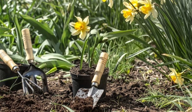 Jarang Diketahui! Inilah 6 Manfaat Berkebun Bagi Kesehatan Fisik dan Mental